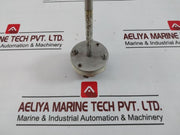 Riccato Pt-100 Ω Rtd Temperature Sensor 350-mm