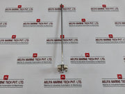 Riccato Pt-100 Ω Rtd Temperature Sensor 350-mm
