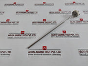 Riccato Pt-100 Ω Rtd Temperature Sensor 350-mm