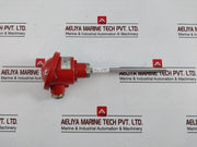 Riccato Pt-100Ω Temperature Sensor 150-mm