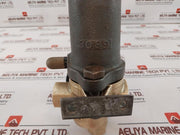 Riegler 0-230 Lb/In2 Pressure Gauge