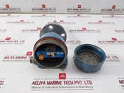 Rosemount 2120 Vibrating Fork Level Switch 2120D1Gk1E1Xm0200Q4 8V Dc V2.10