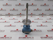 Rosemount 2120 Vibrating Fork Level Switch 2120D1Gk1E1Xm0200Q4 8V Dc V2.10