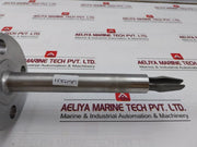 Rosemount 2120 Vibrating Fork Level Switch 2120D1Gk1E1Xm0200Q4 8V Dc V2.10