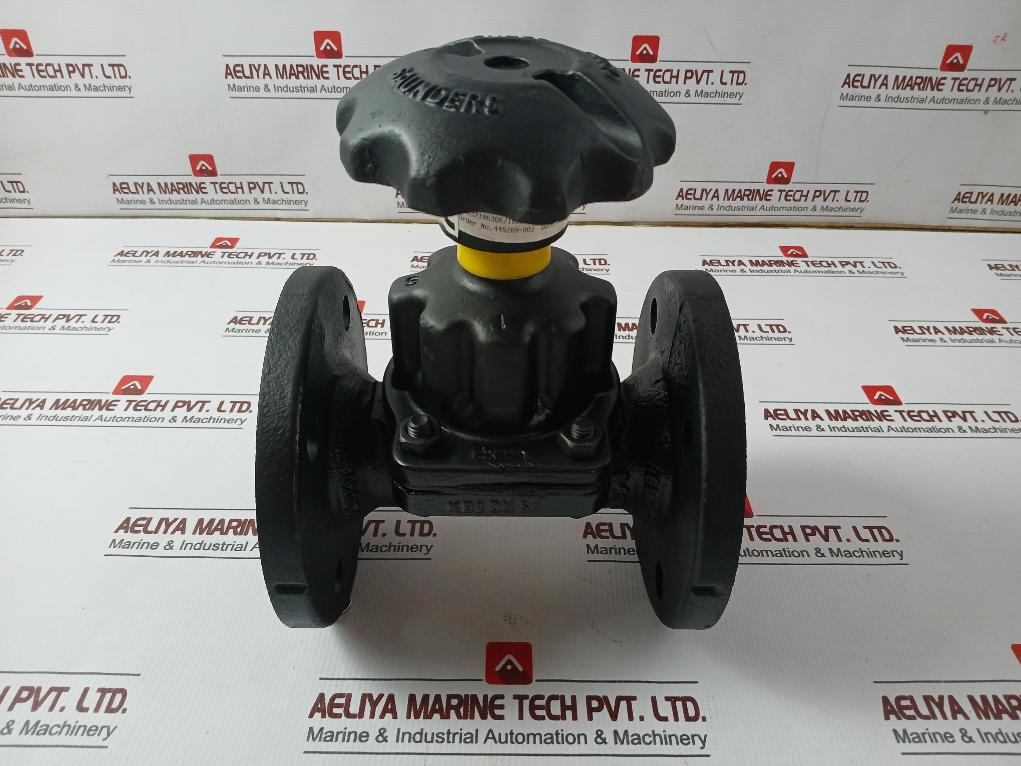 Saunders Cpfti Diaphragm Valve Pn10 10 Bar 445269-003