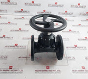 Saunders 445269-001 Diaphragm Valve 10 Bar 2 1/2 Inch Kb Dn 65