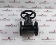 Saunders 445269-001 Diaphragm Valve 10 Bar 2 1/2 Inch Kb Dn 65