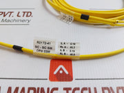 Sc-Sc Sm Dpx R0172-41 Optic Fiber Patch Cord 03m (9/125)