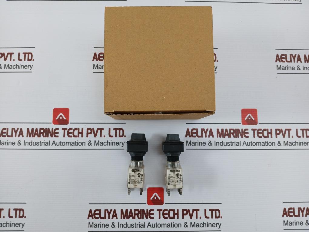 Schlegel At2 Head Push Button Switch 250V 6(3)A Used