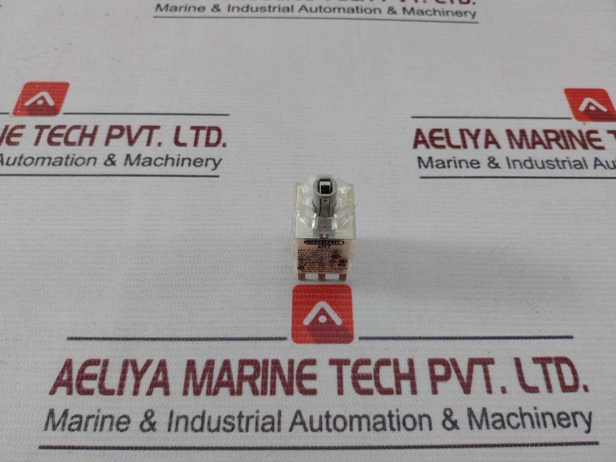 Schlegel Atl2 Illuminated Momentary Contact Block 60V 1,2W