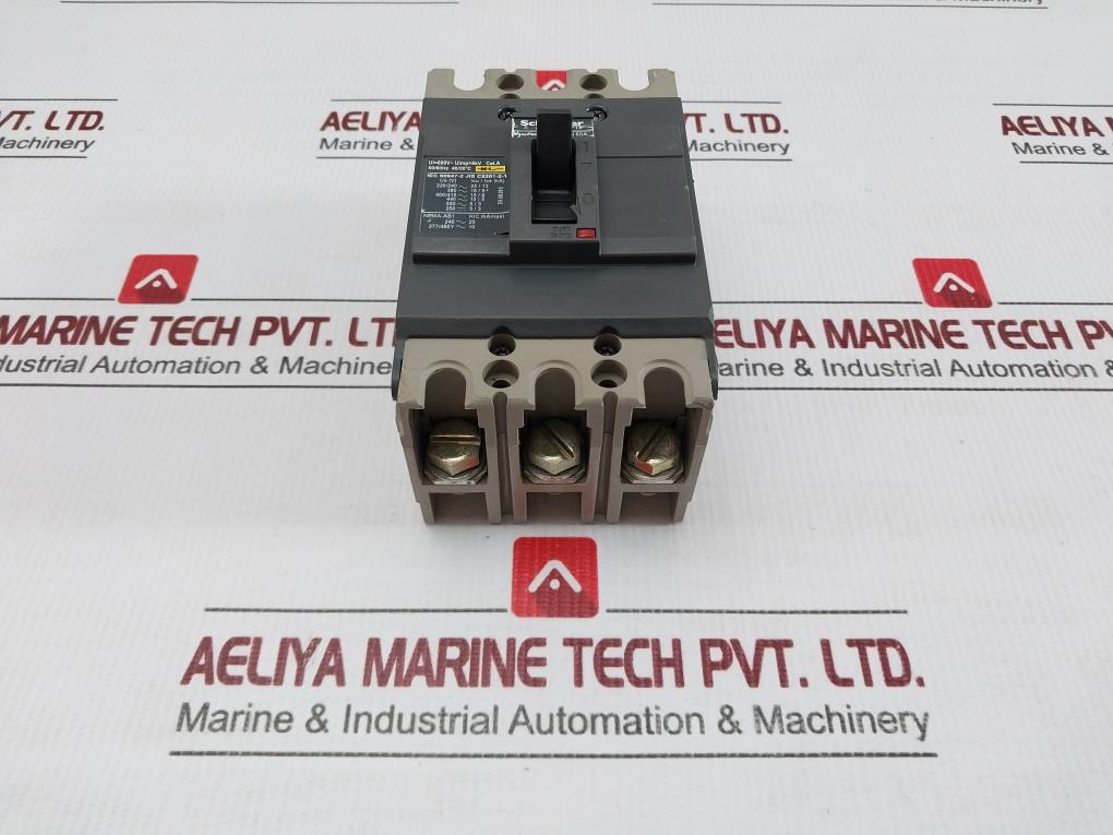 Schneider Electric Circuit Breaker 690v-50/60hz Ezc100n 80a