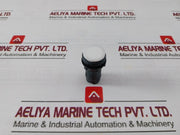 Schneider Electric/Telemecanique Xb7-ev0.3Bpn Monolithic Pilot Light 24V Ac Dc