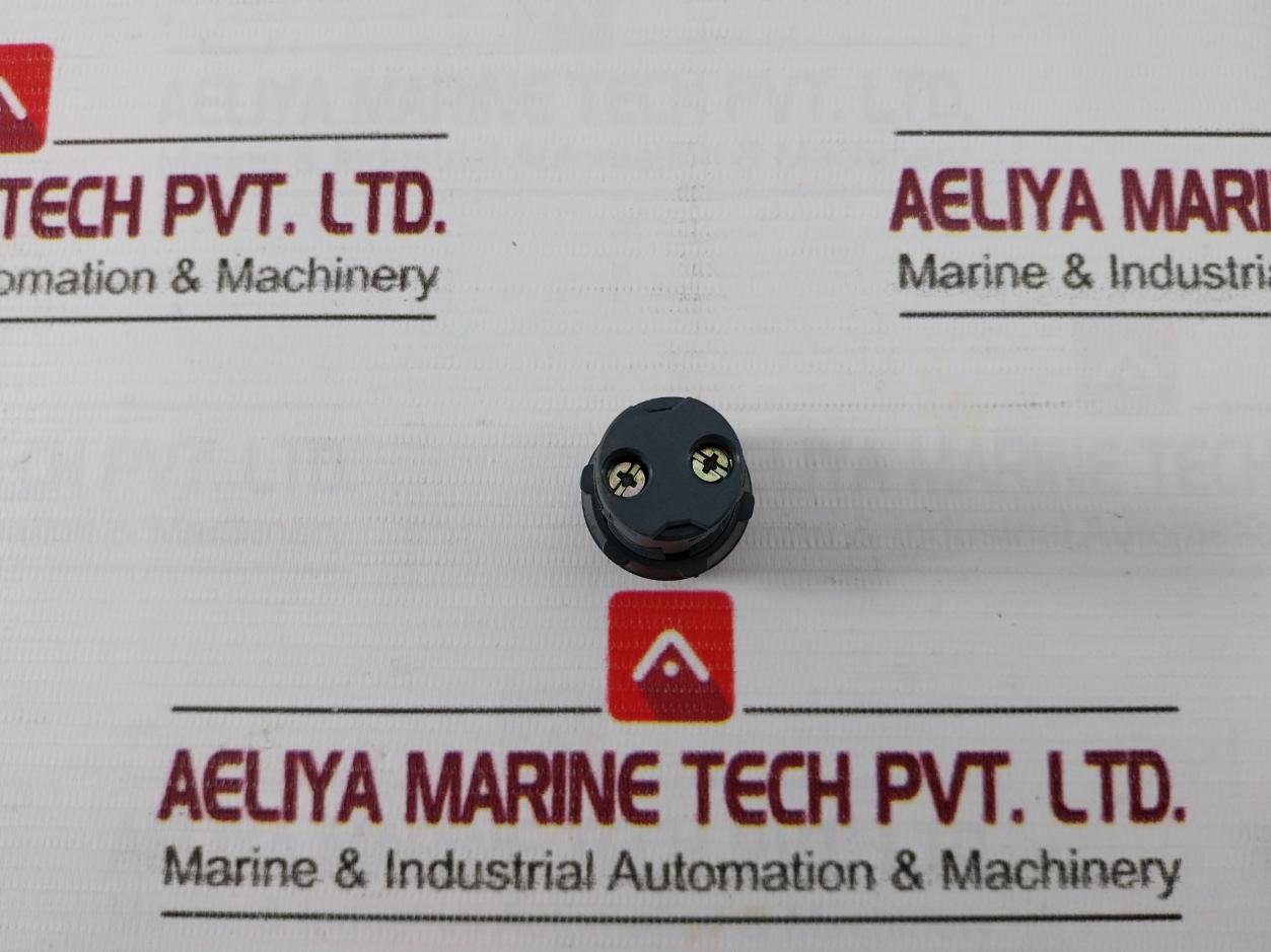Schneider Electric/Telemecanique Xb7-ev0.3Bpn Monolithic Pilot Light 24V Ac Dc