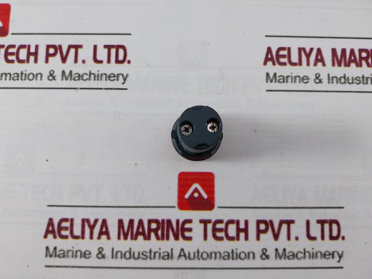 Schneider Electric/Telemecanique Xb7Ev04Mpn Monolithic Red Pilot Light 230V Ac