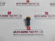 Schneider Electric Xb7-ev0.Bpn Monolithic Pilot Light 24V Ac Dc
