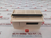 Schneider Electrictwdlcde40Drf Plc Module 24Vdc
