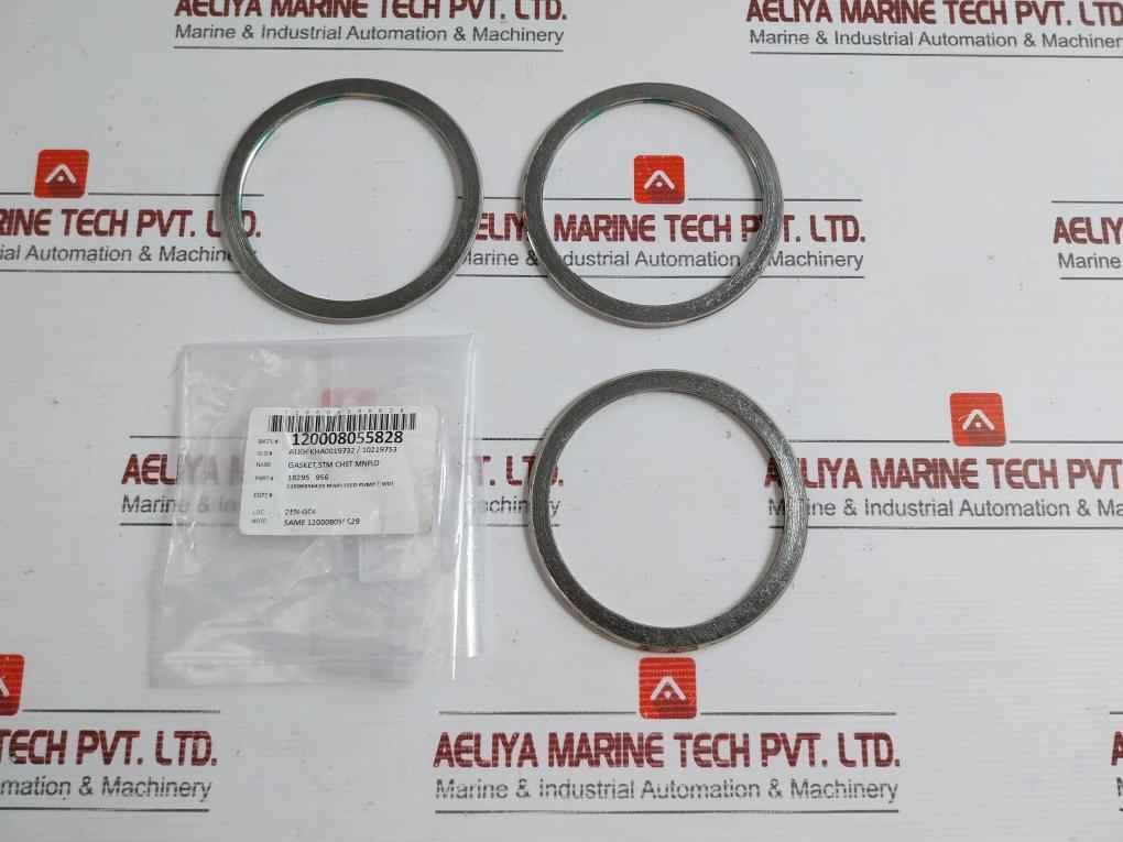 18295 956 Sealing Gasket For Main Feed Pump