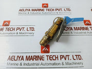 Shimmer 160 Psi Pressure Relief Valve, 3/8” Npt