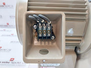 Showa Denki Ec-h10-r313 Direct Drive Blower 1.0Kw 2 Poles 190F 4.1 A