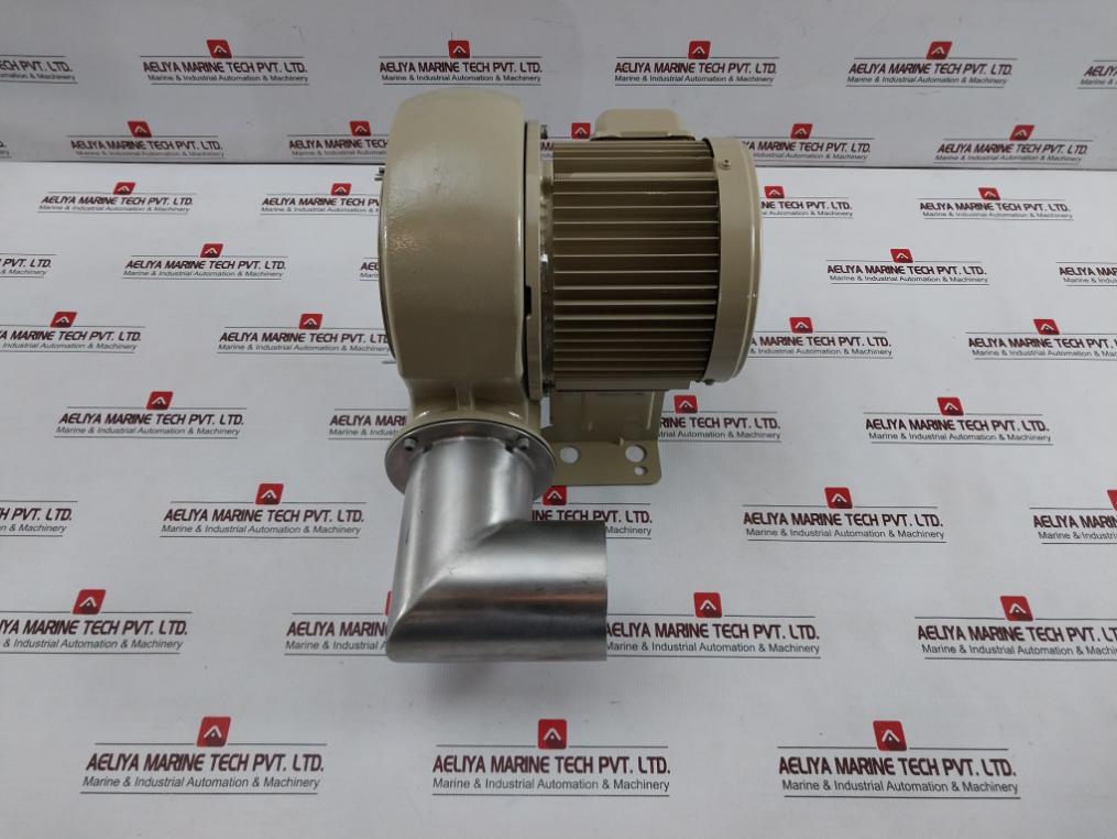 Showa Denki Fsm-h04-r313 Electric Air Blower 0.4Kw 2Poles 100C-110B 190F