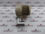 Showa Denki Fsm-h04-r313 Electric Air Blower 0.4Kw 2Poles 100C-110B 190F