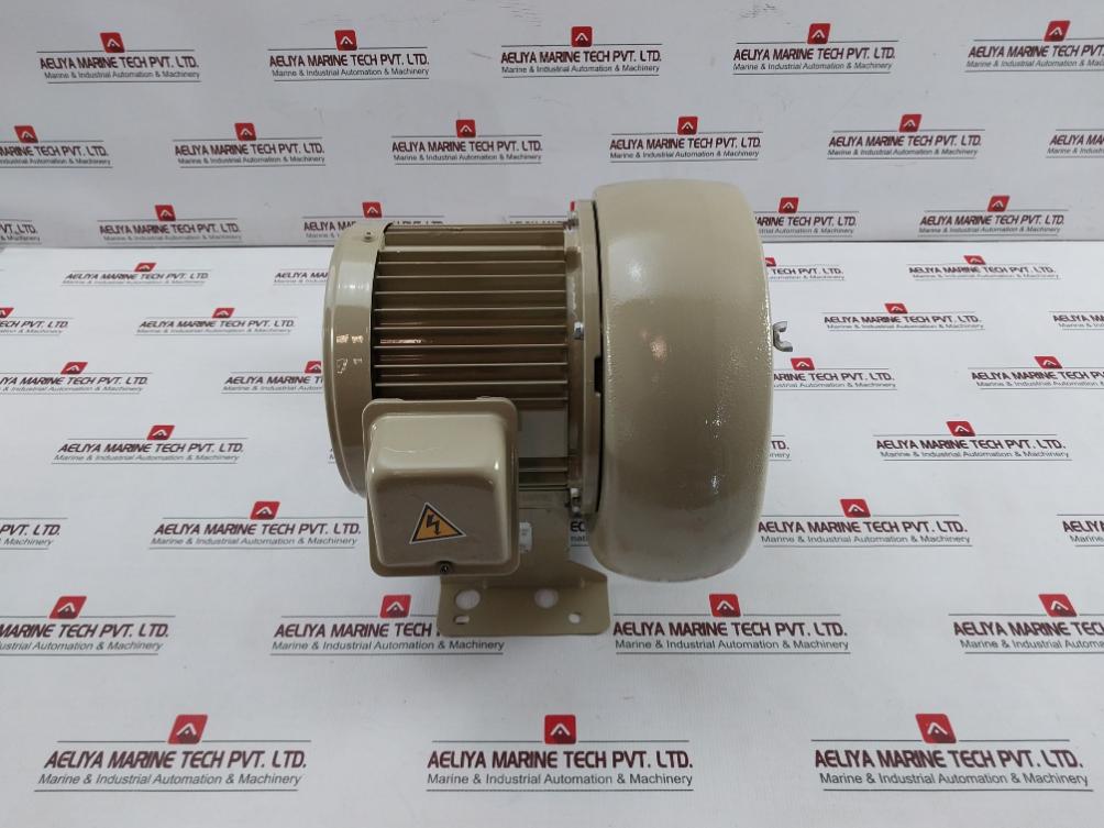 Showa Denki Fsm-h04-r313 Electric Air Blower 0.4Kw 2Poles 100C-110B 190F