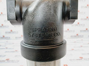 Spraying Systems 124-1 1/4-ny B.S.P.T. Strainer