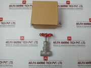 Stainless Steel Gate Valve 1/2 Inch Cf8M - New