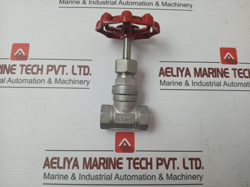 Stainless Steel Gate Valve 1/2 Inch Cf8M - New