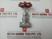 Stainless Steel Gate Valve 1/2 Inch Cf8M - New