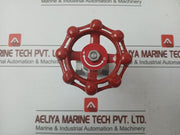 Stainless Steel Gate Valve 1/2 Inch Cf8M - New