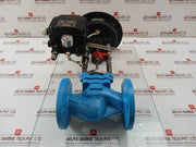 Control Valve Actuator W/ Electro-Pneumatic Positioner Ari-Armaturen Stevi 440