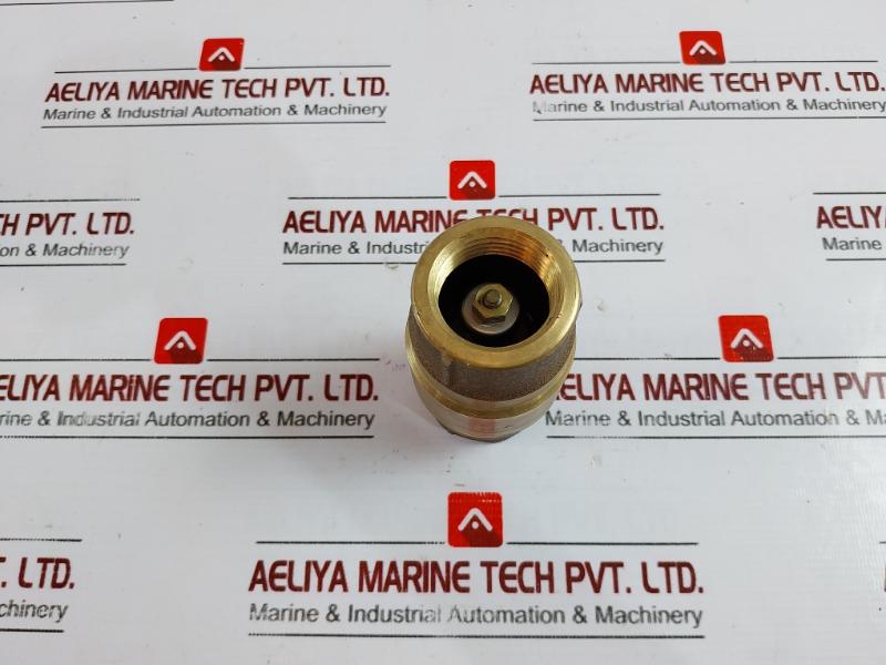 Strataflo 300 1" Check Valve With Rubber Poppet 200Lb
