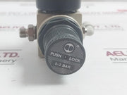 Strumentazione Pneumatic Pressure Regulator 0 To 35Psi 0 To 2.5Bar