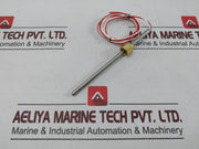 Swagelok Temperature Sensor