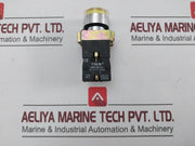T&B Xb2-be101 Illuminated Push Button Switch