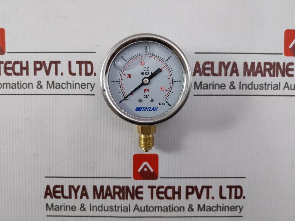 Taylan En 837-1 Pressure Gauge 0 To 6 Bar 0 To 80/86 Psi