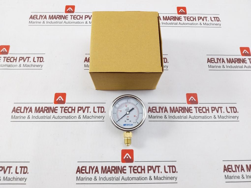 Taylan En 837-1 Pressure Gauge 0 To 6 Bar 0 To 80/86 Psi