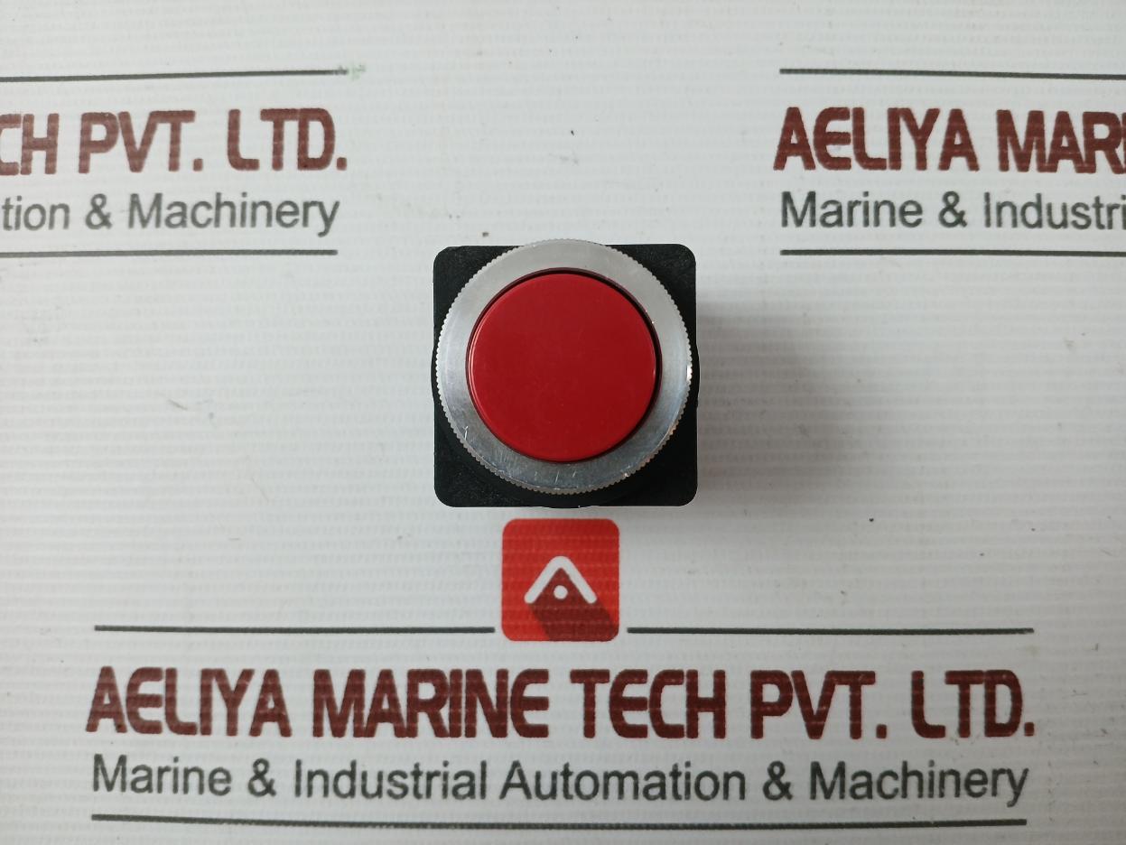 Tec Push Button Switch 41-14393 220vac 3a