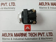 Tec Push Button Switch 41-14393 220vac 3a