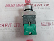 Teknic 2Alrf4L Illuminated Flush Actuator 240Vac±20% 500V Ith: 10A 110V, 0.5A