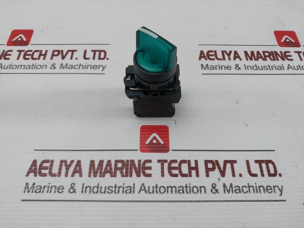 Telemecanique Illuminated Selector Switch Zbe-101n
