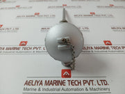 Temperature Sensor 100ω L-210,D-12mm In New
