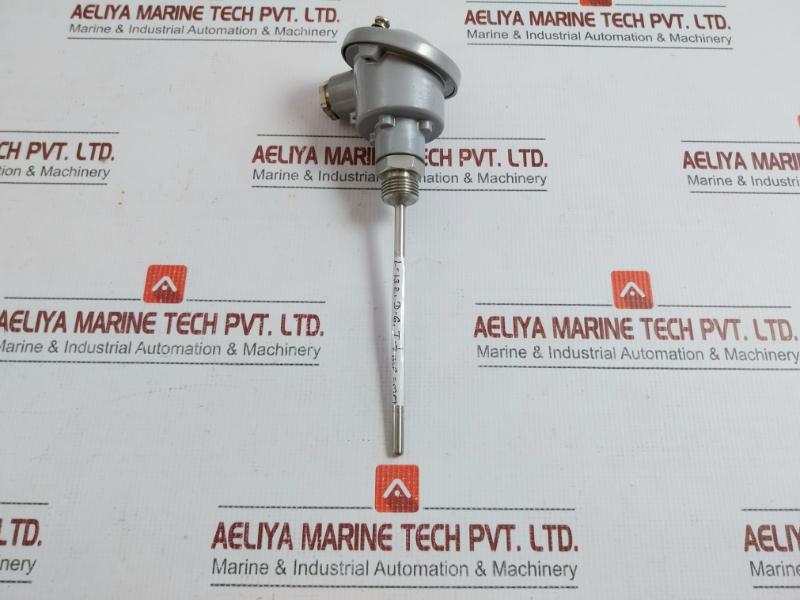 Temperature Transmitter 24 Vdc Trafag 300 Gm
