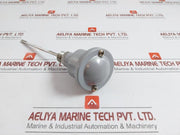 Temperature Transmitter 24 Vdc Trafag 300 Gm