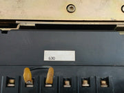 Terasaki Ame-6