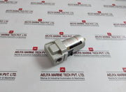 Teryair F19 Premium Air Line Filter 1 Mpa 150 Psi