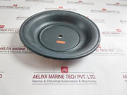 Teryair Air Side Diaphragm For Air Operated Pump