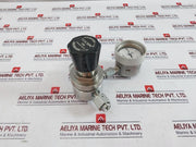Tescom 44-3262Hrw3-853 Pressure Regulator With Safety Glass