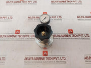 Tescom 44-3263J281 Air Gas Regulating Valve Assembly 1200/1360 Kpa
